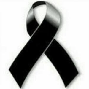 Meet your Posher, Roy